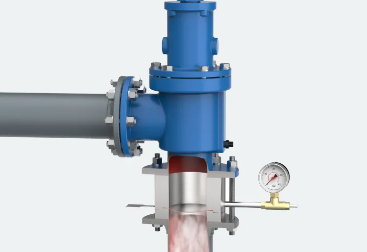 PRVs and Rupture Discs